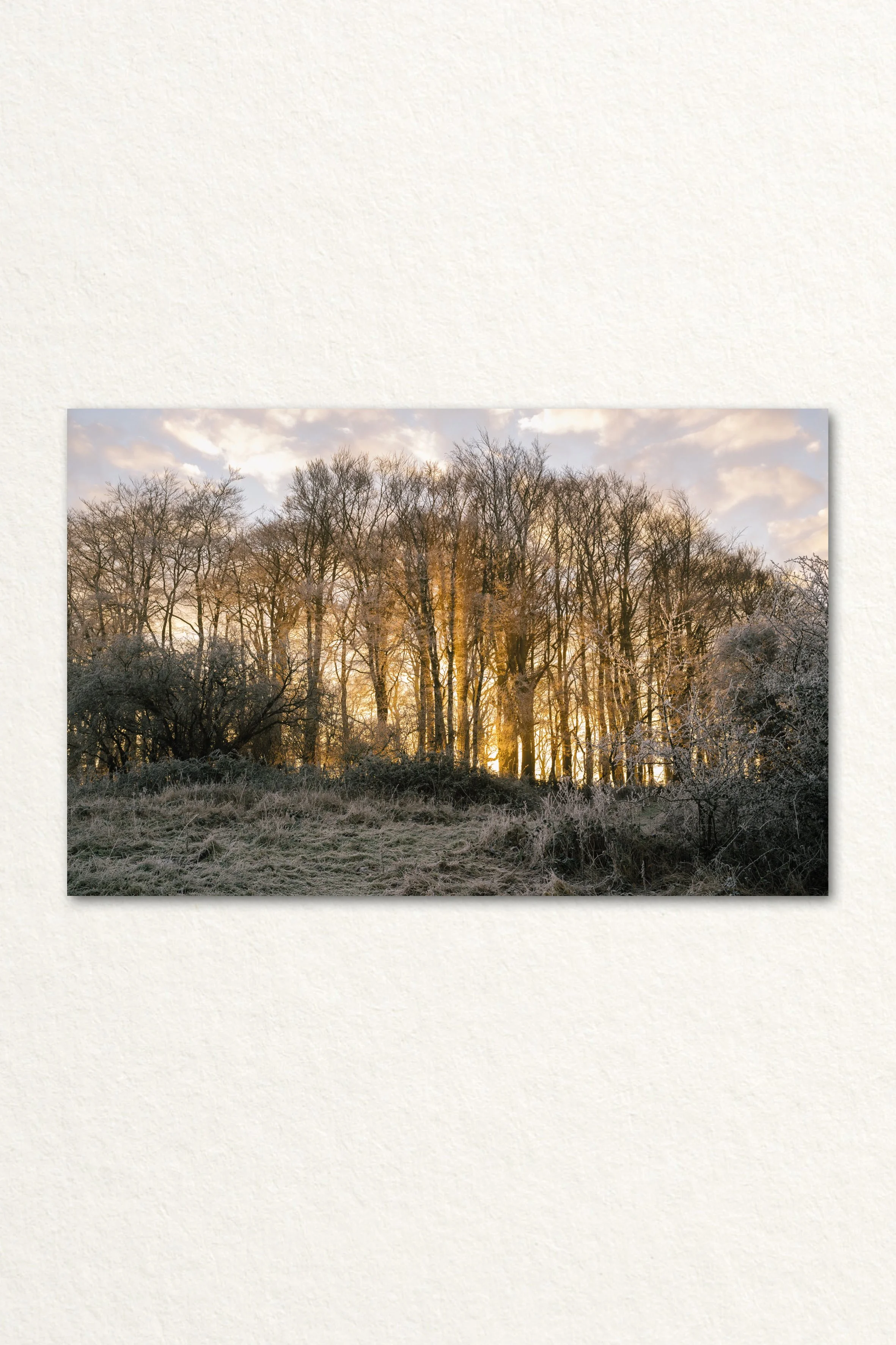 Searching - Print Mock Ups - Tall.jpg