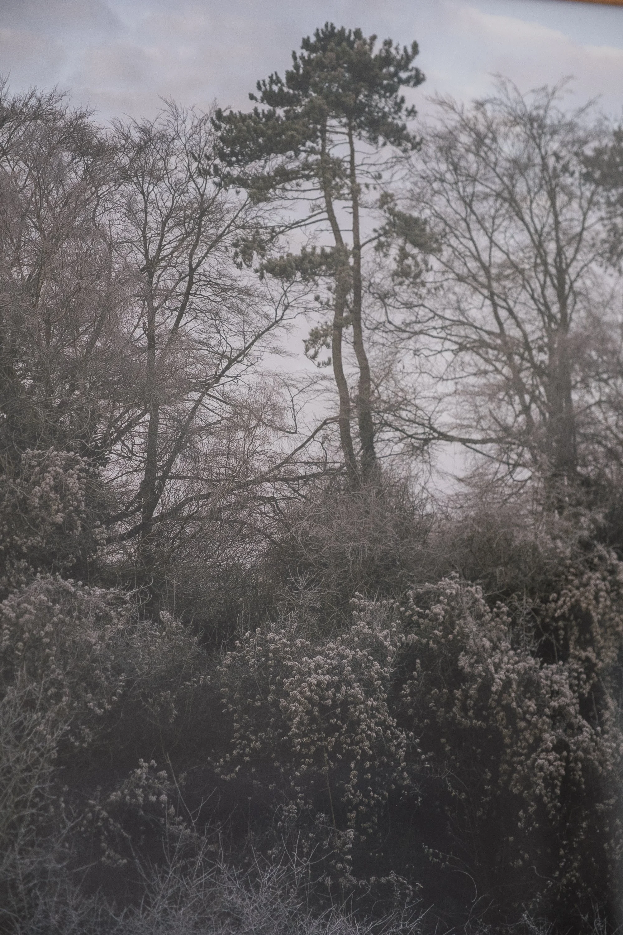 DSCF3549.jpg