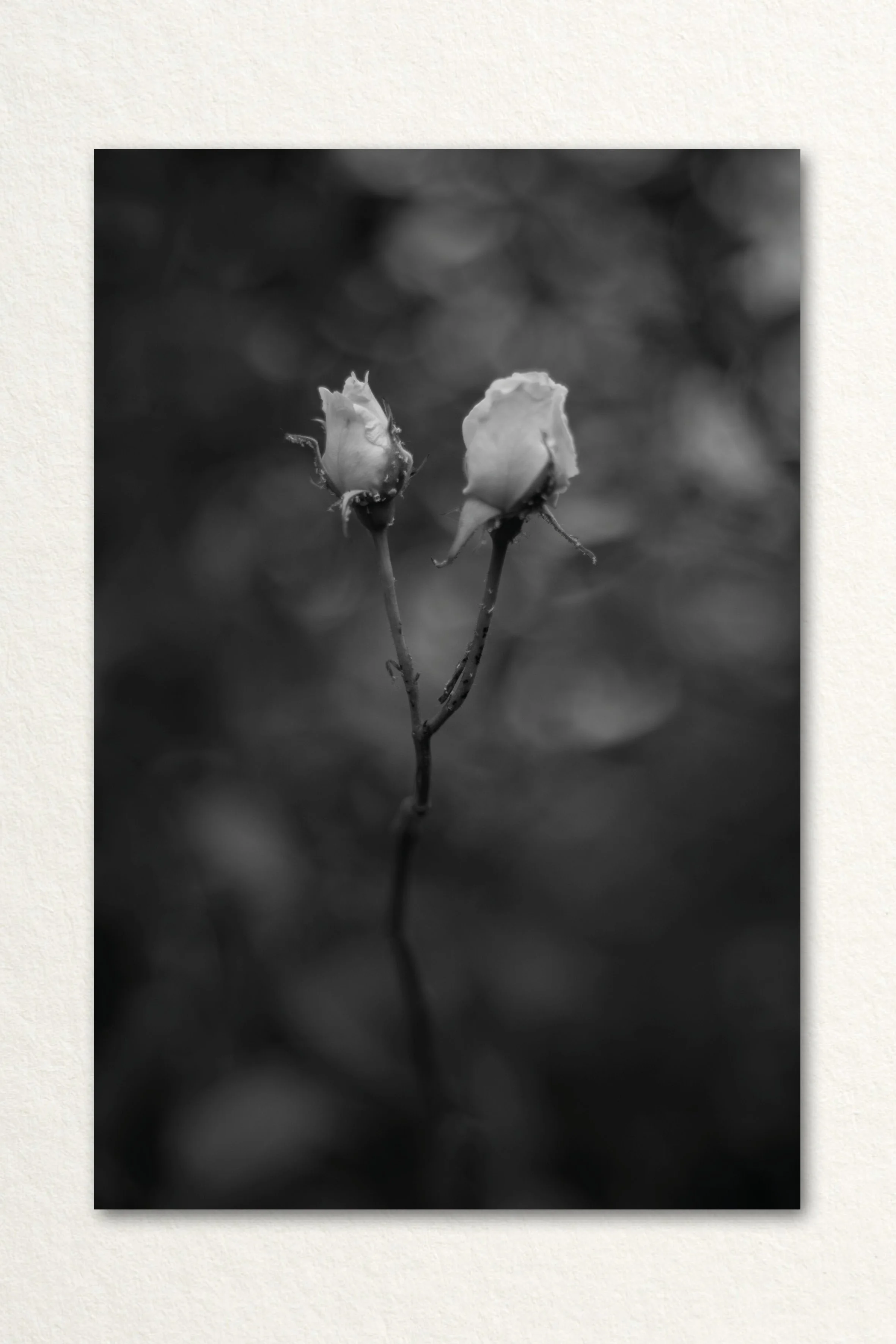 Searching Print9.jpg