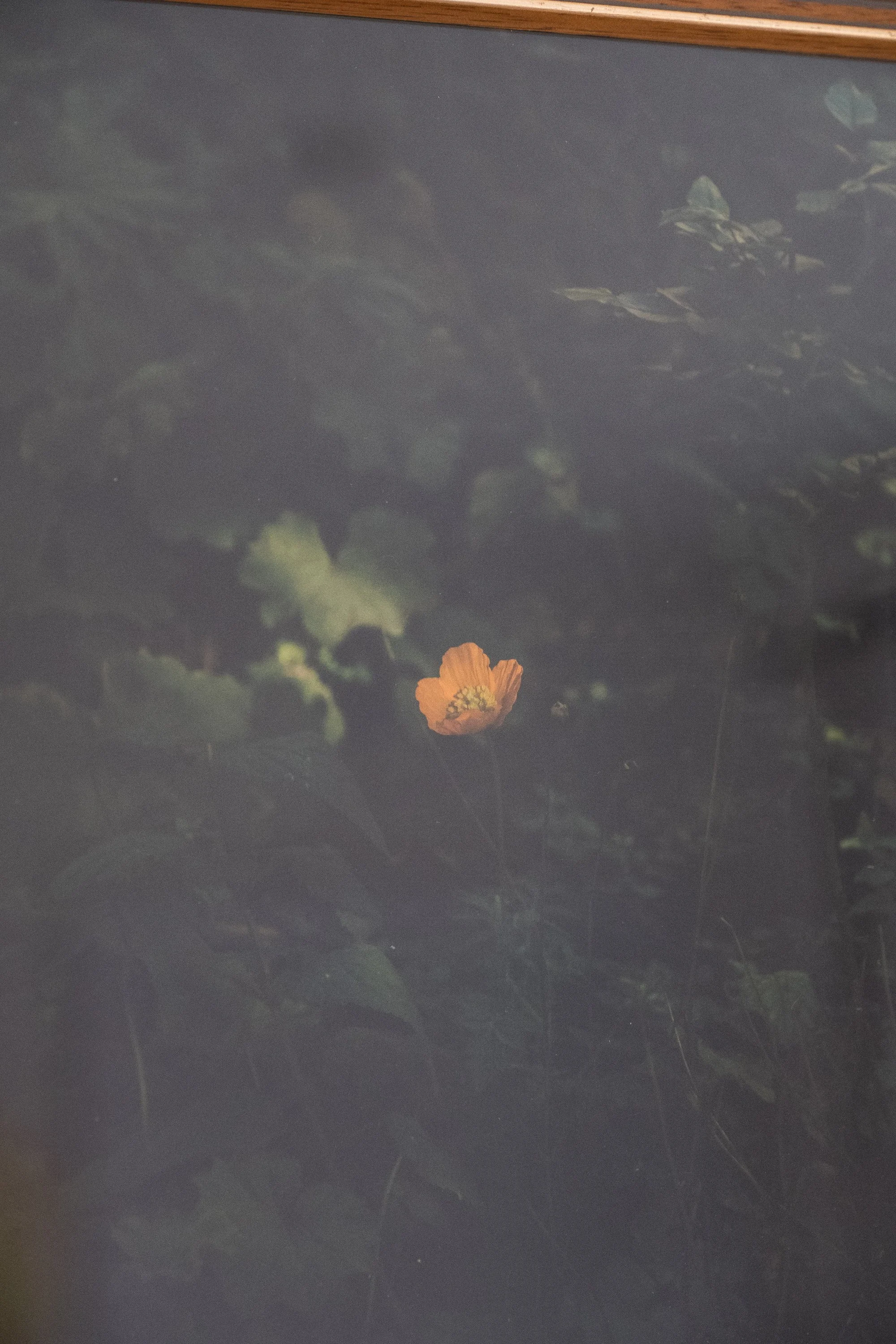 DSCF3359.jpg