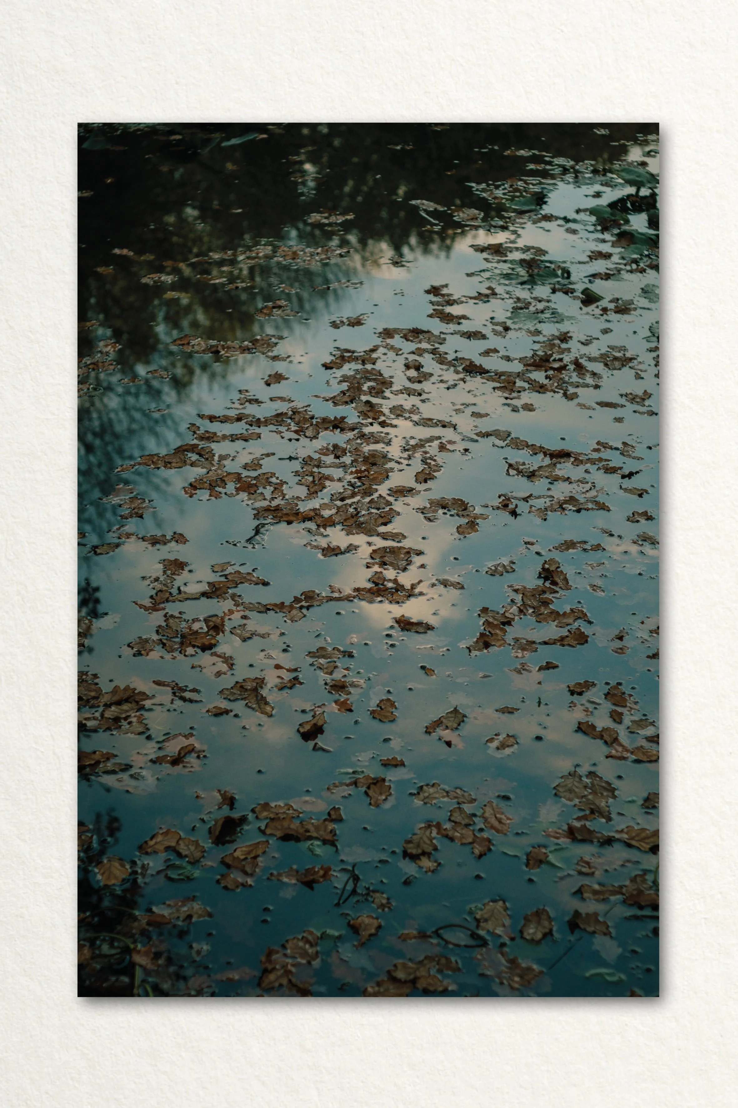 Searching Print18.jpg