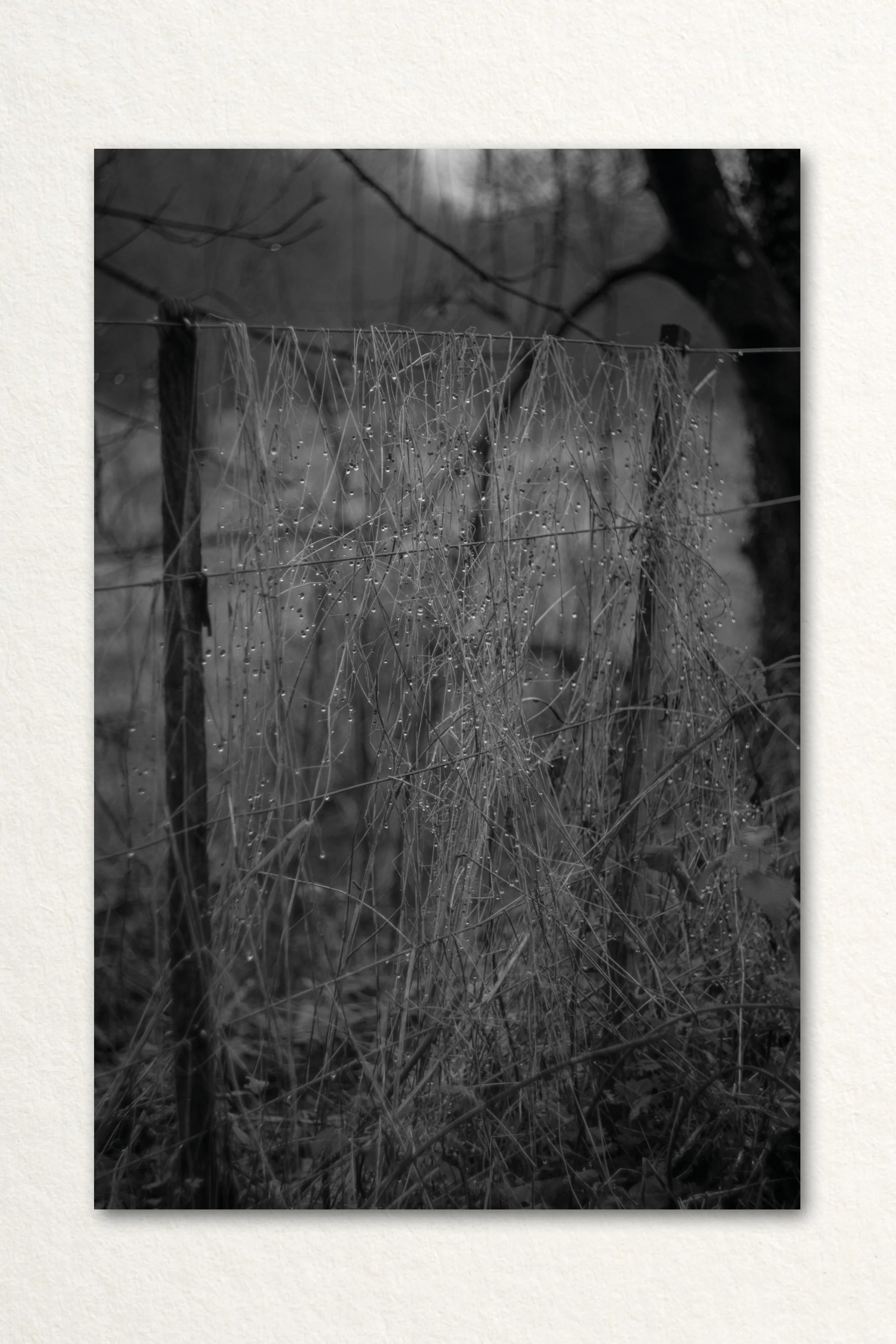 Searching Print21.jpg