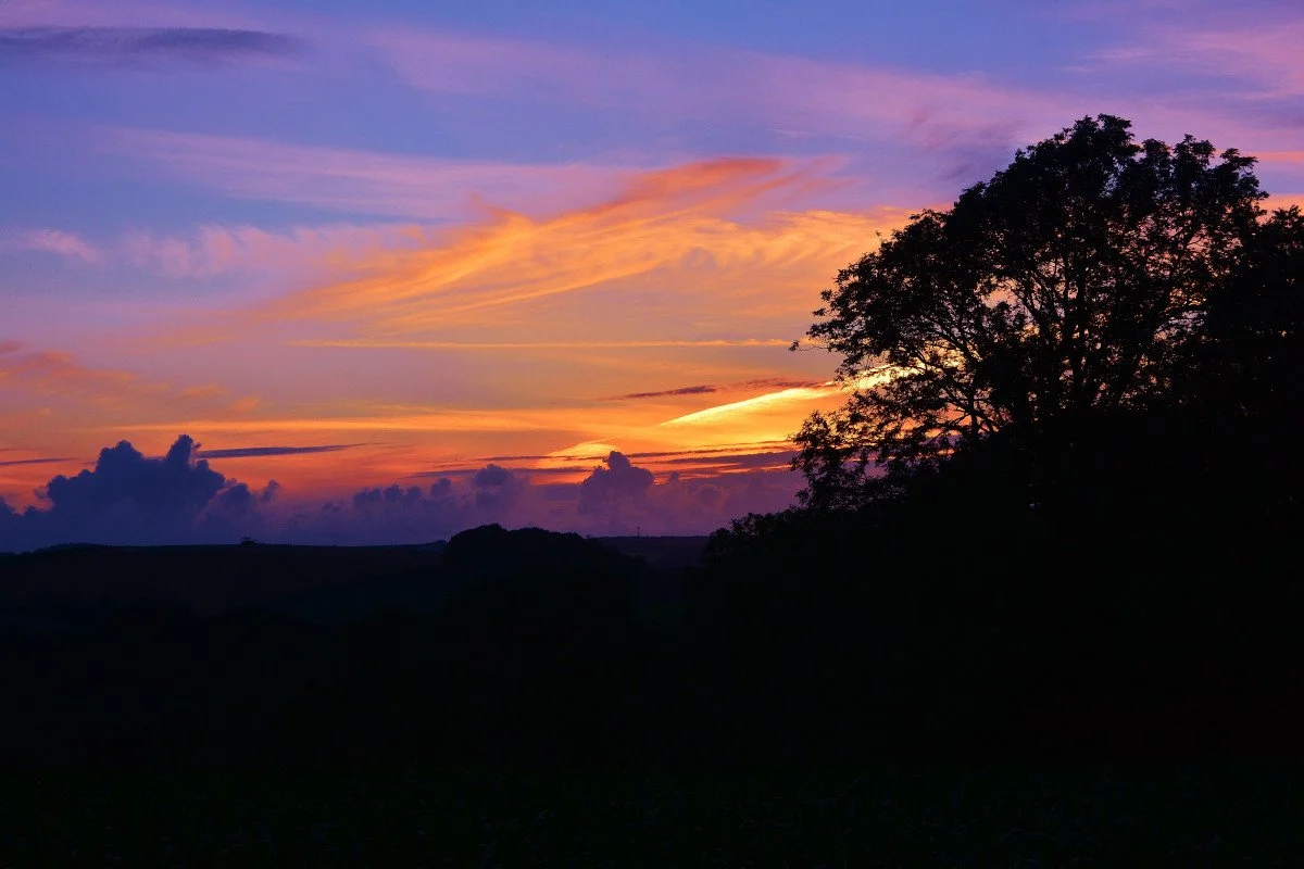 sunset_trees_nature_sky_l_landscape_sun_silhouette-687684.jpg