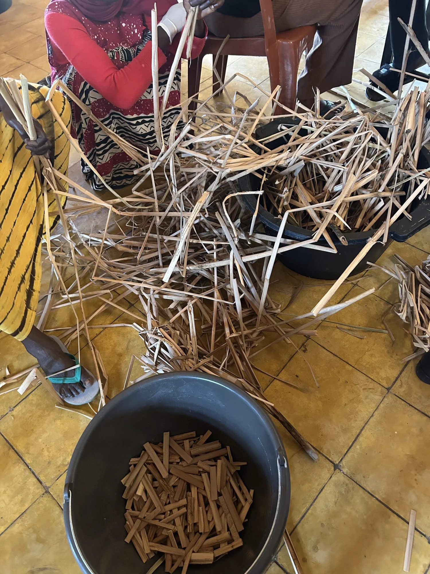 Bottes de typha sec et bassine de morceaux découpés