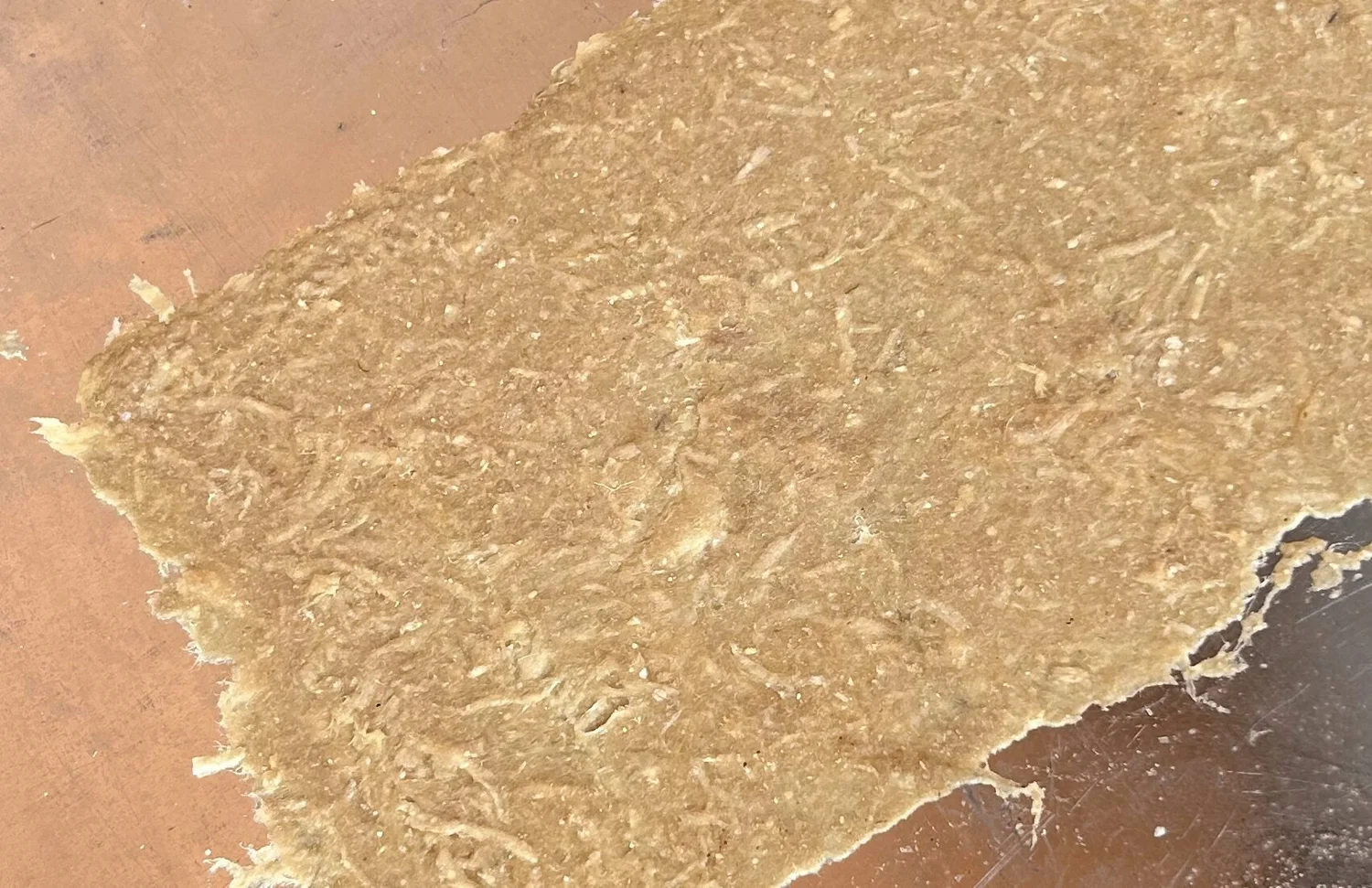 Détail des fibres de la première feuille