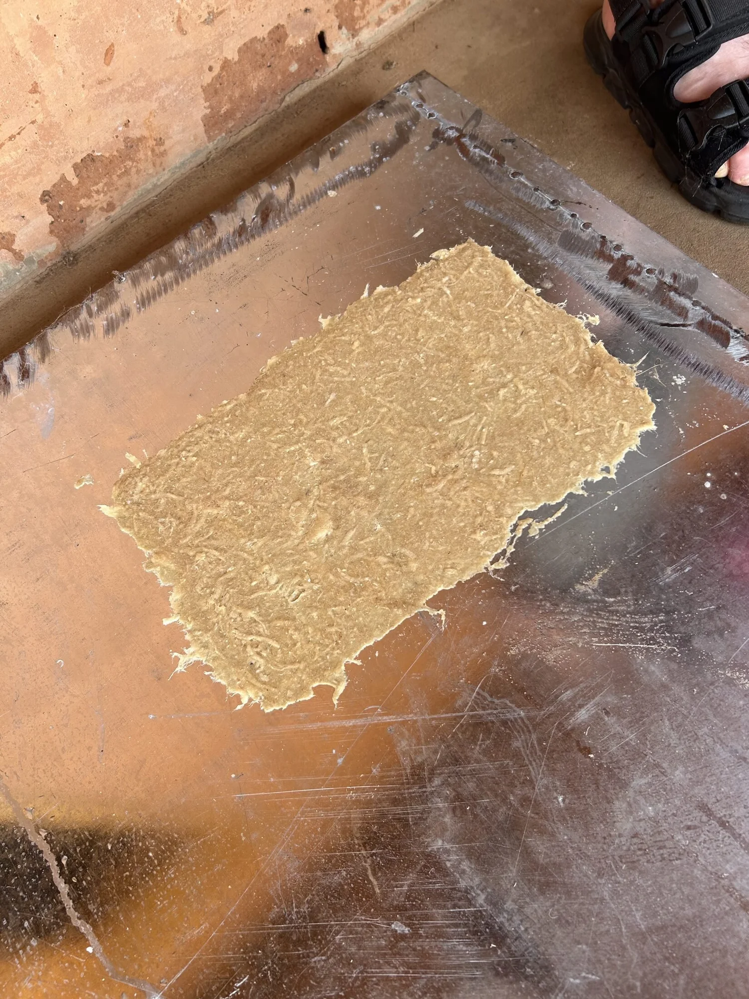 La première feuille de papier typha