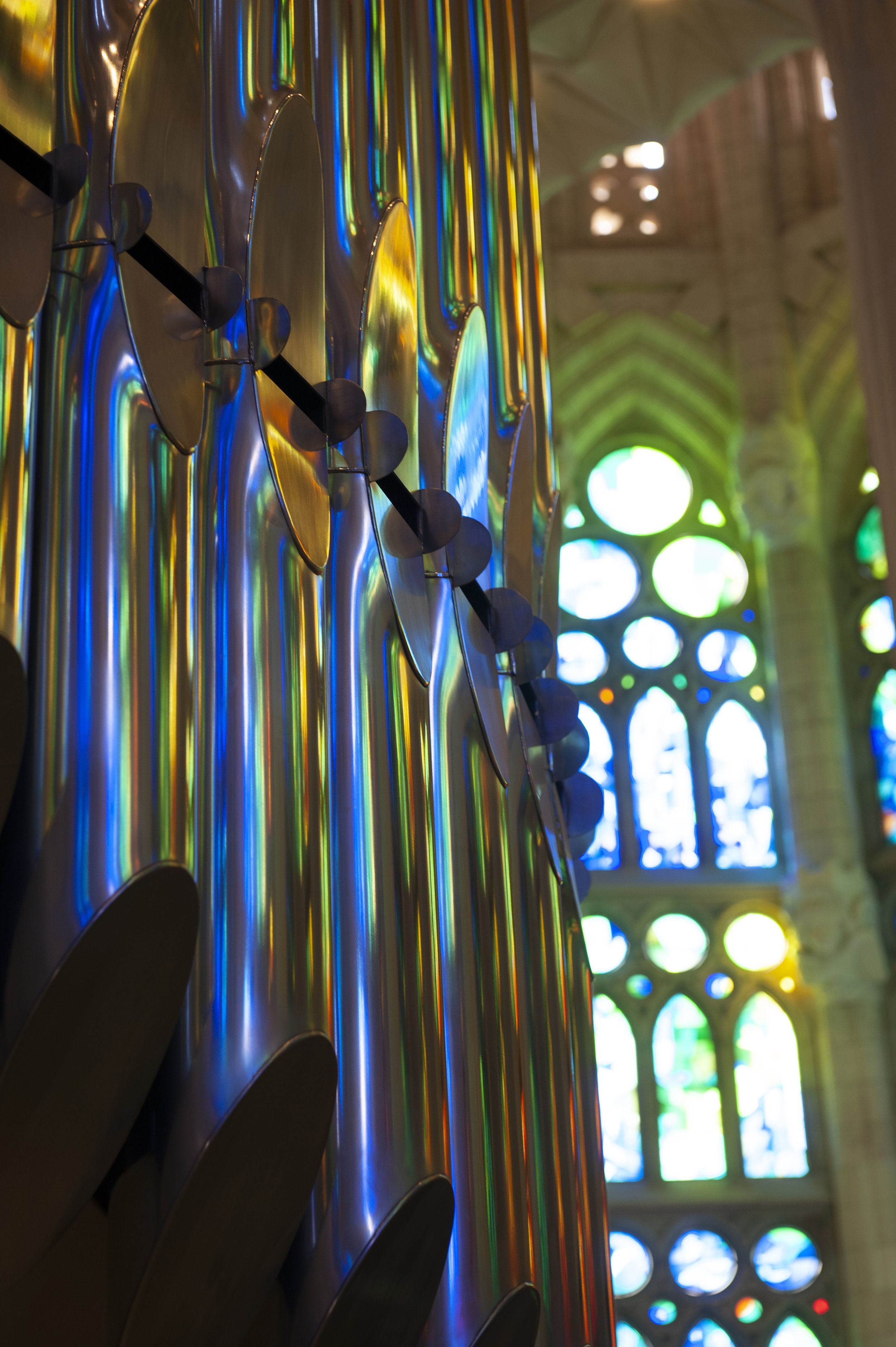 Ryan. C McMahon_printDSC_1249.jpg