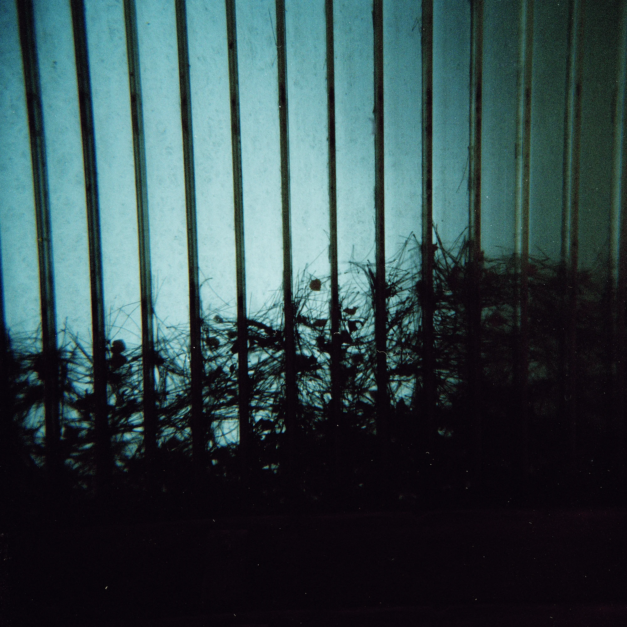 bluefotoTonjeEliasson_02.webjpg