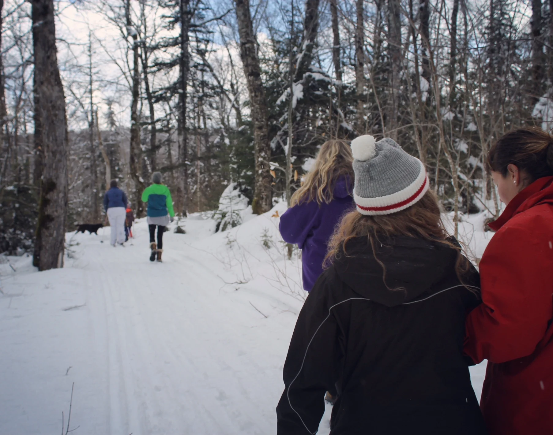 Snowshoeing in Jersey Cove