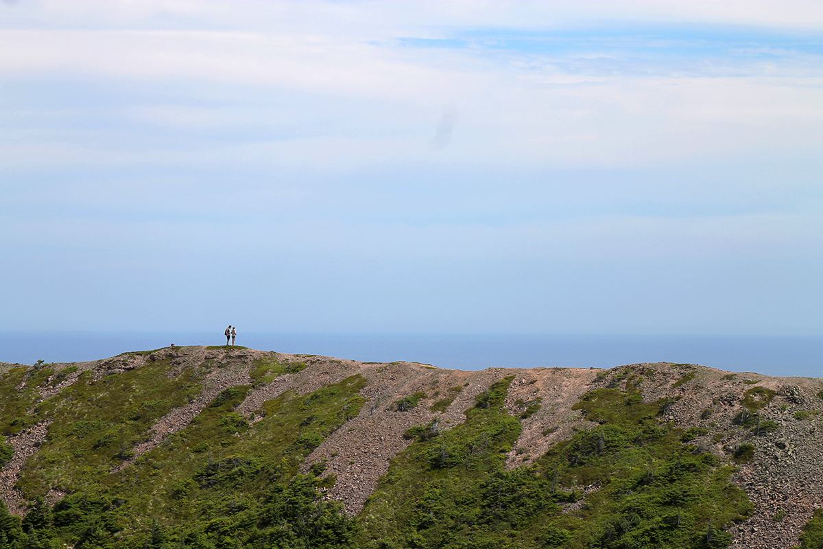 LANDSCAPE.jpg