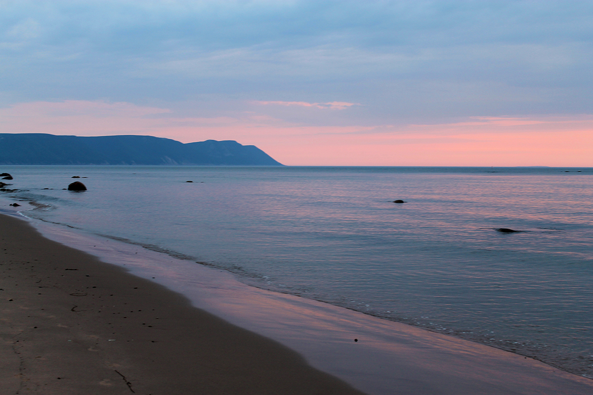 LANDSCAPE 4.jpg