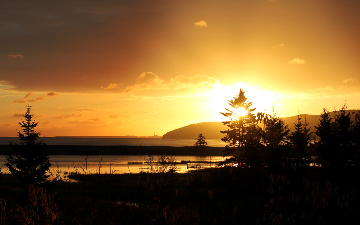 LANDSCAPE2.jpg