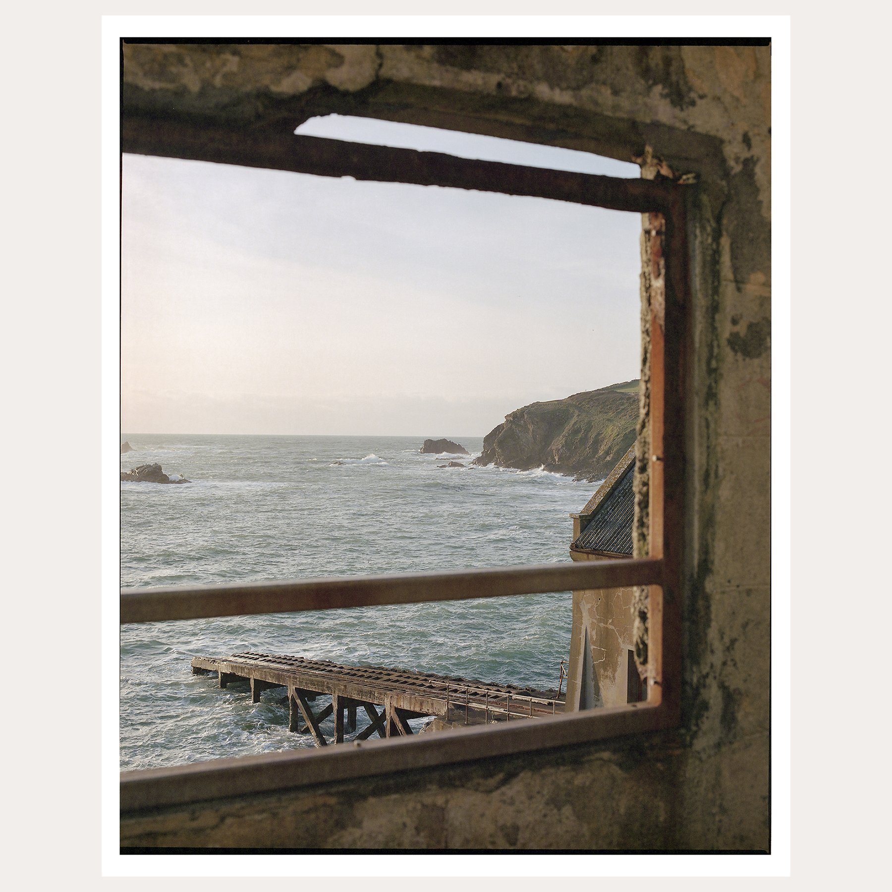 Lizard Point / Fine Art Print Print