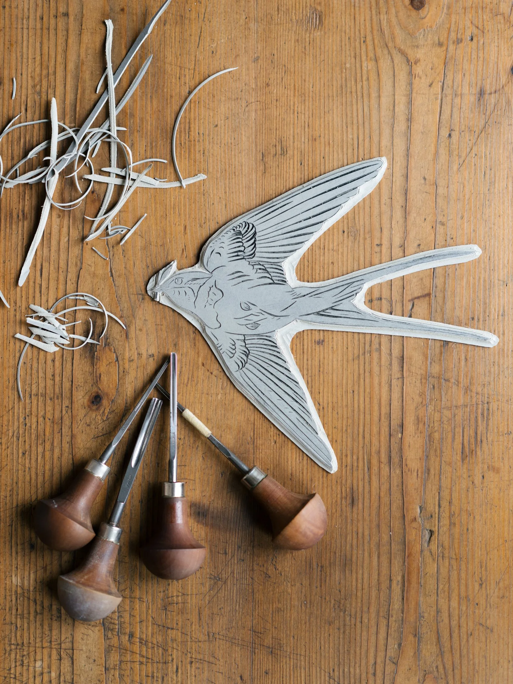 samscales.Swallow.web.jpg (Copy)