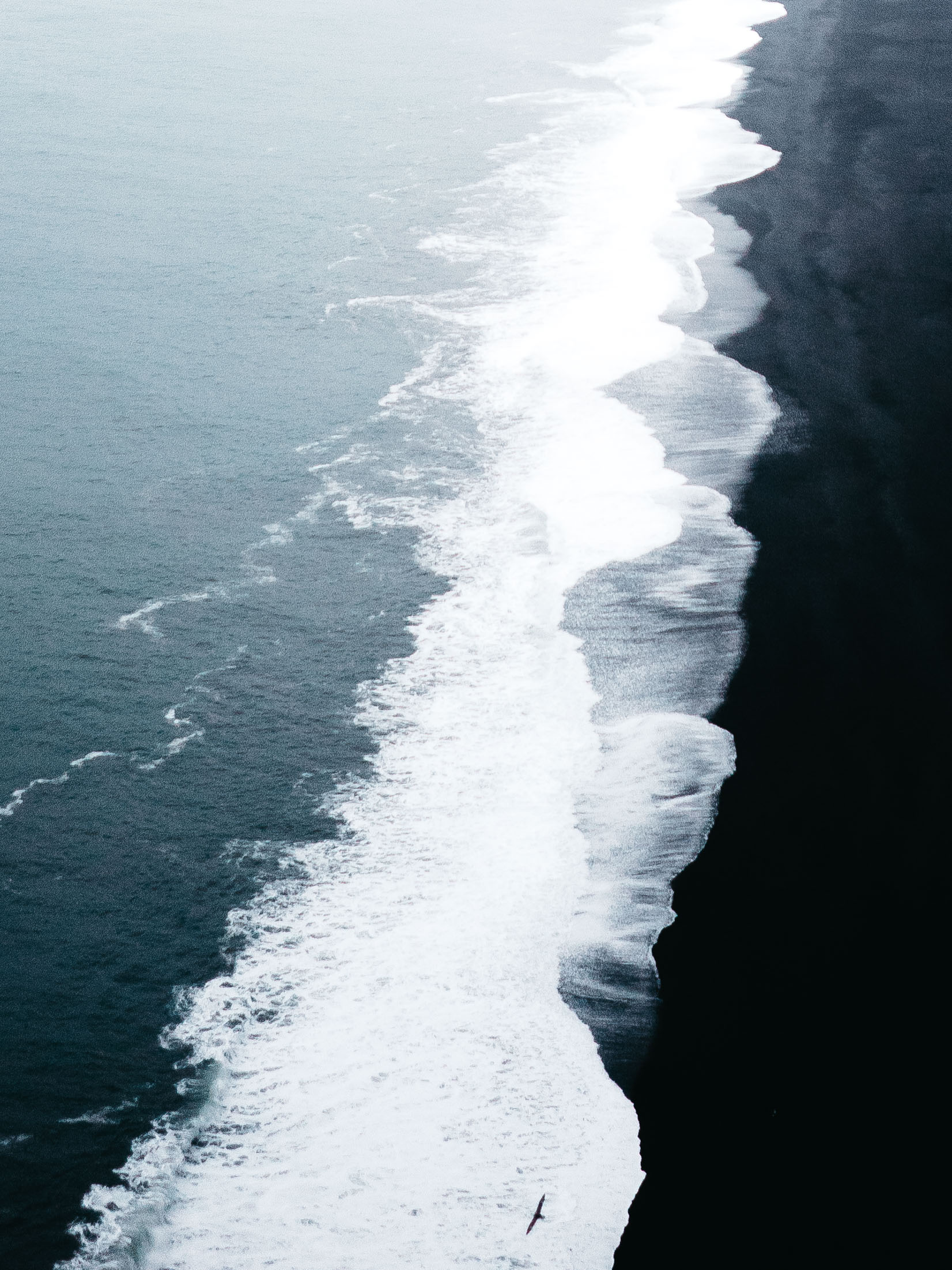 samscales (1 of 1)-28.jpg