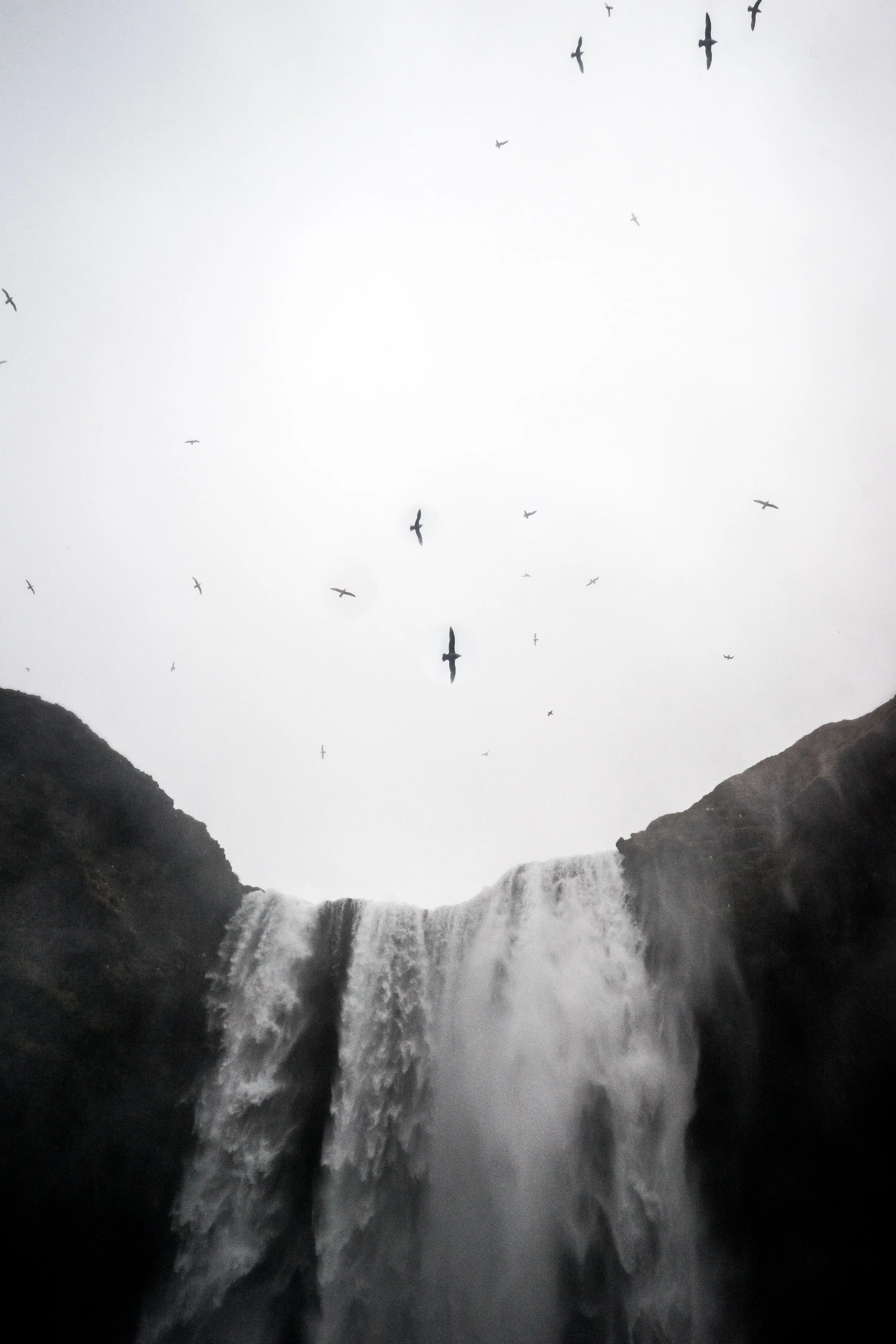 samscales (1 of 1)-43.jpg