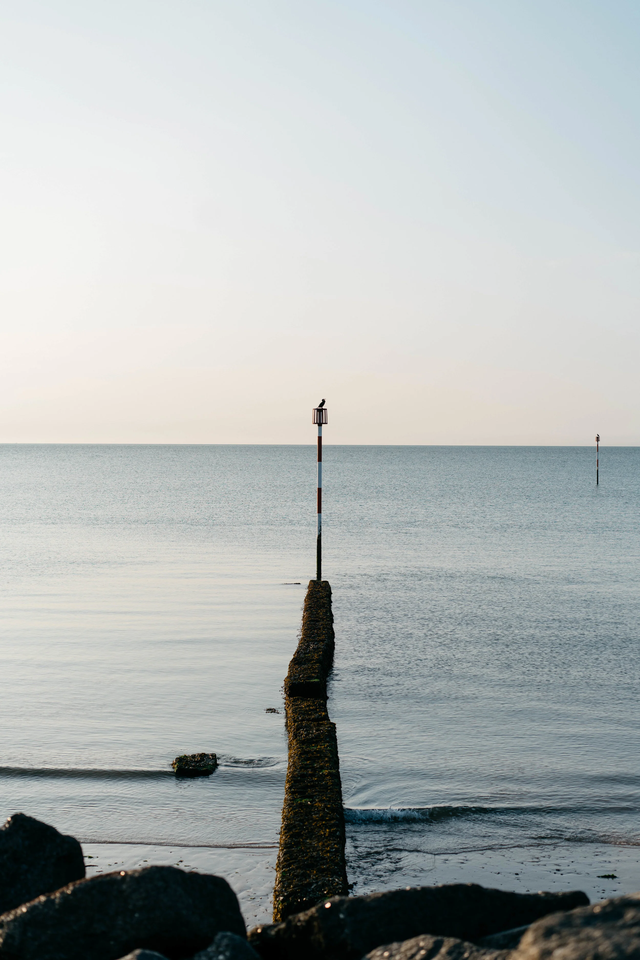 samscales (1 of 1)-2.jpg