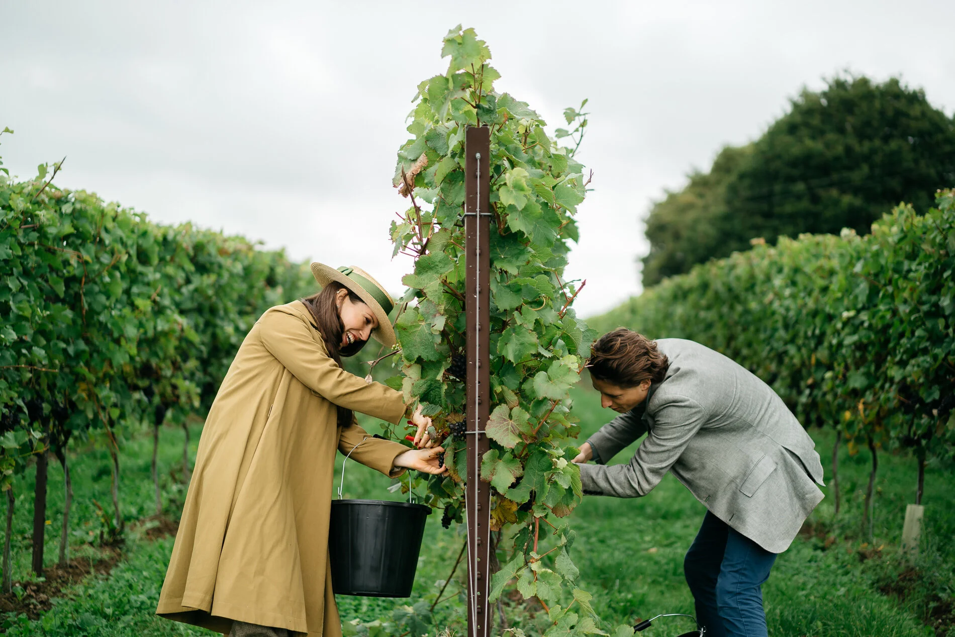 MDRN.LUNCHEON.NYETIMBER.web-10.jpg