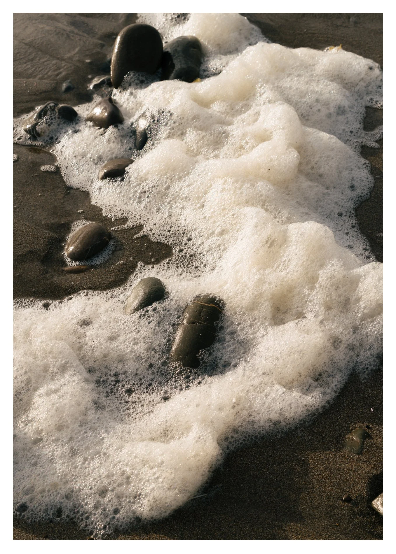 samscales.seafoam.web.jpg