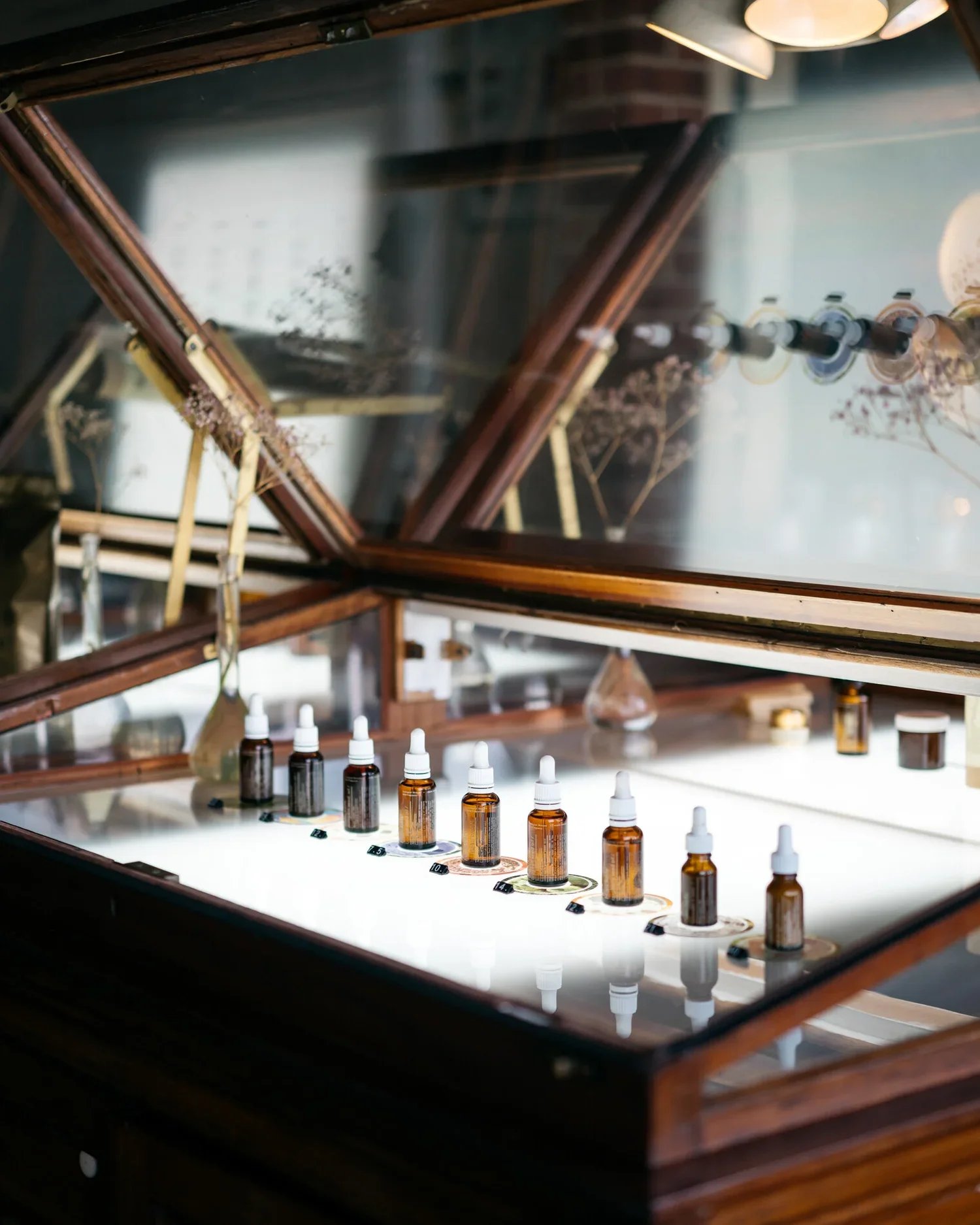 samscales.portfolio.haeckels.webp