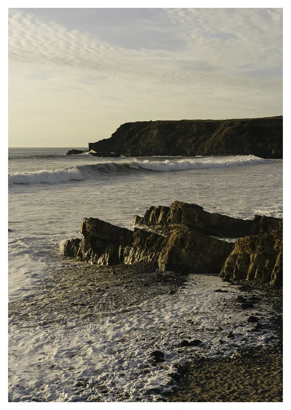 SamScales.Web.widemouth.jpg