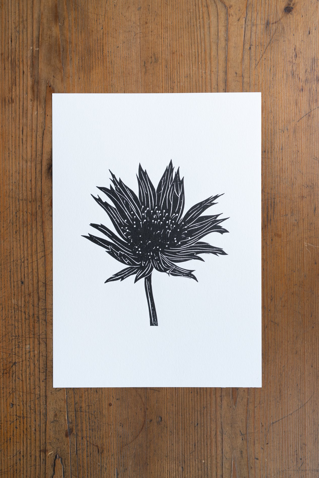 PRE-ORDER / Astrantia Original Linocut