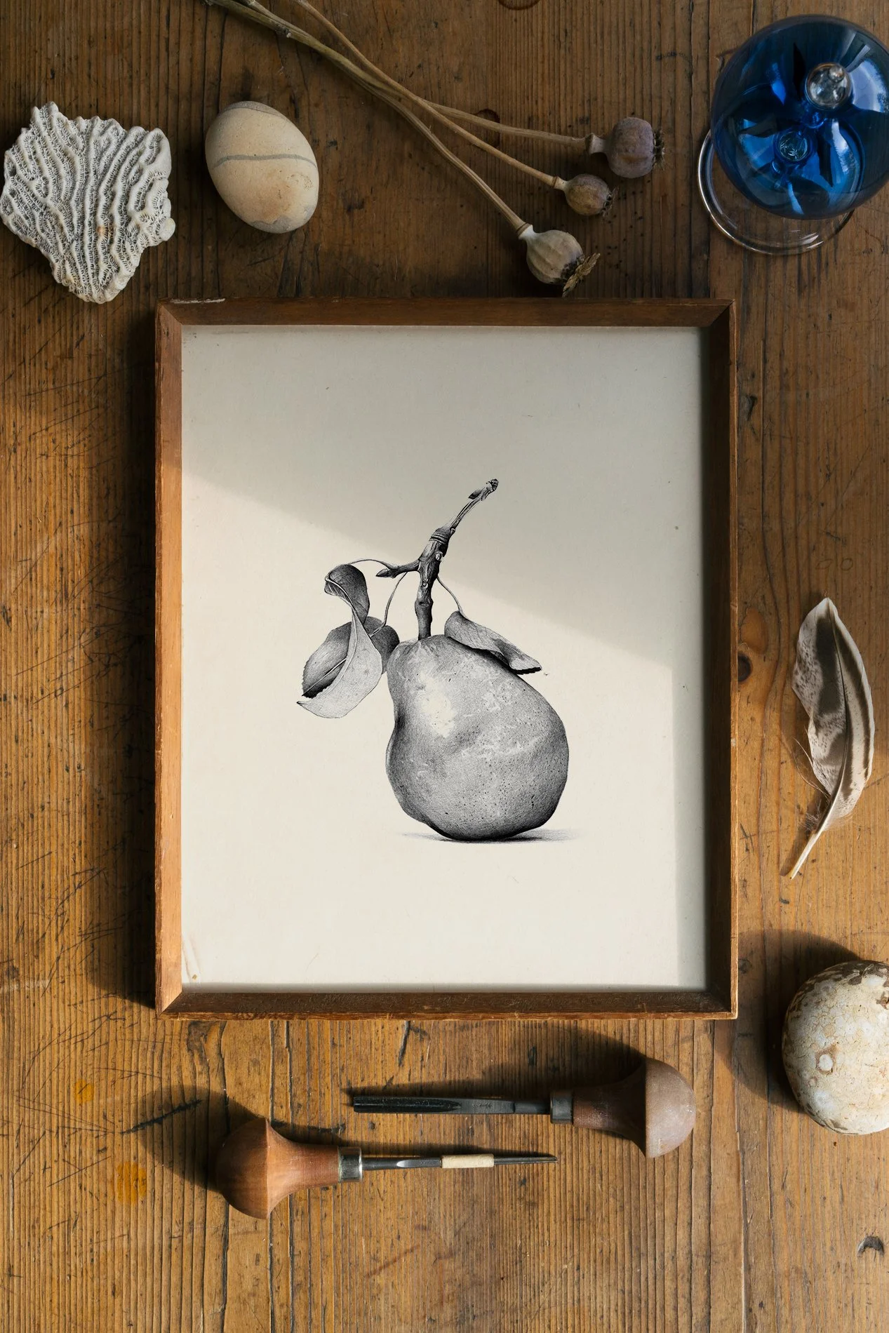 samscales.peardrawing.print.jpg