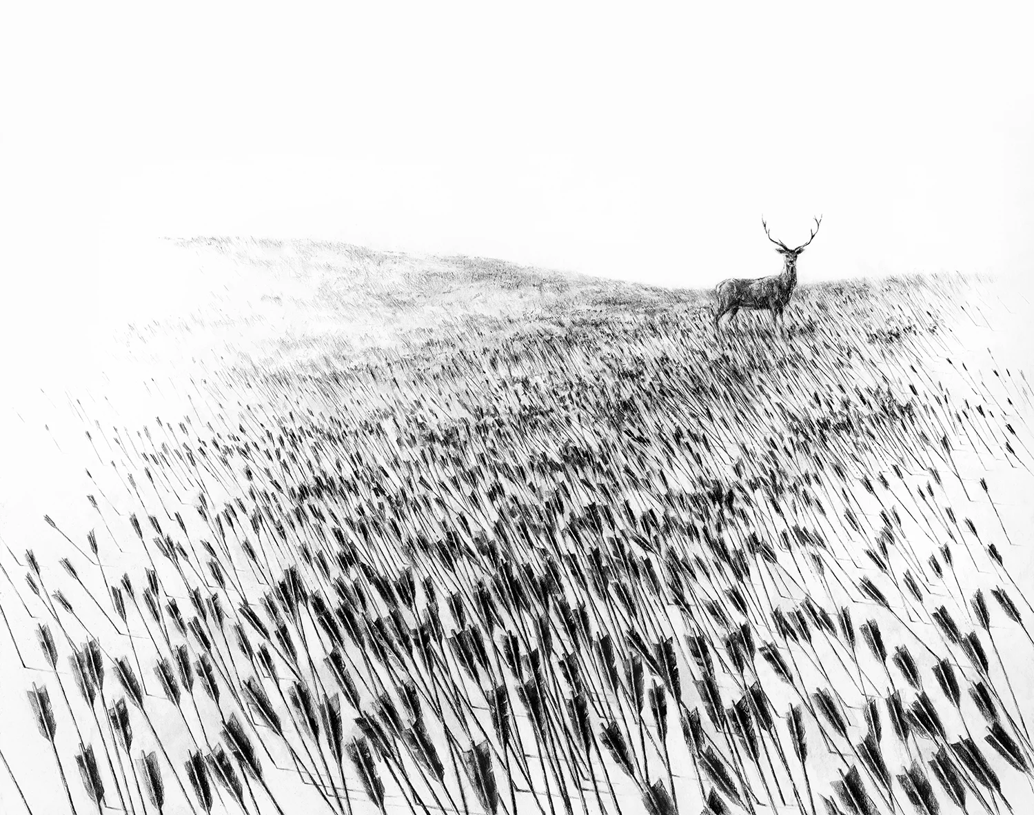 Meadow Final-4.jpg