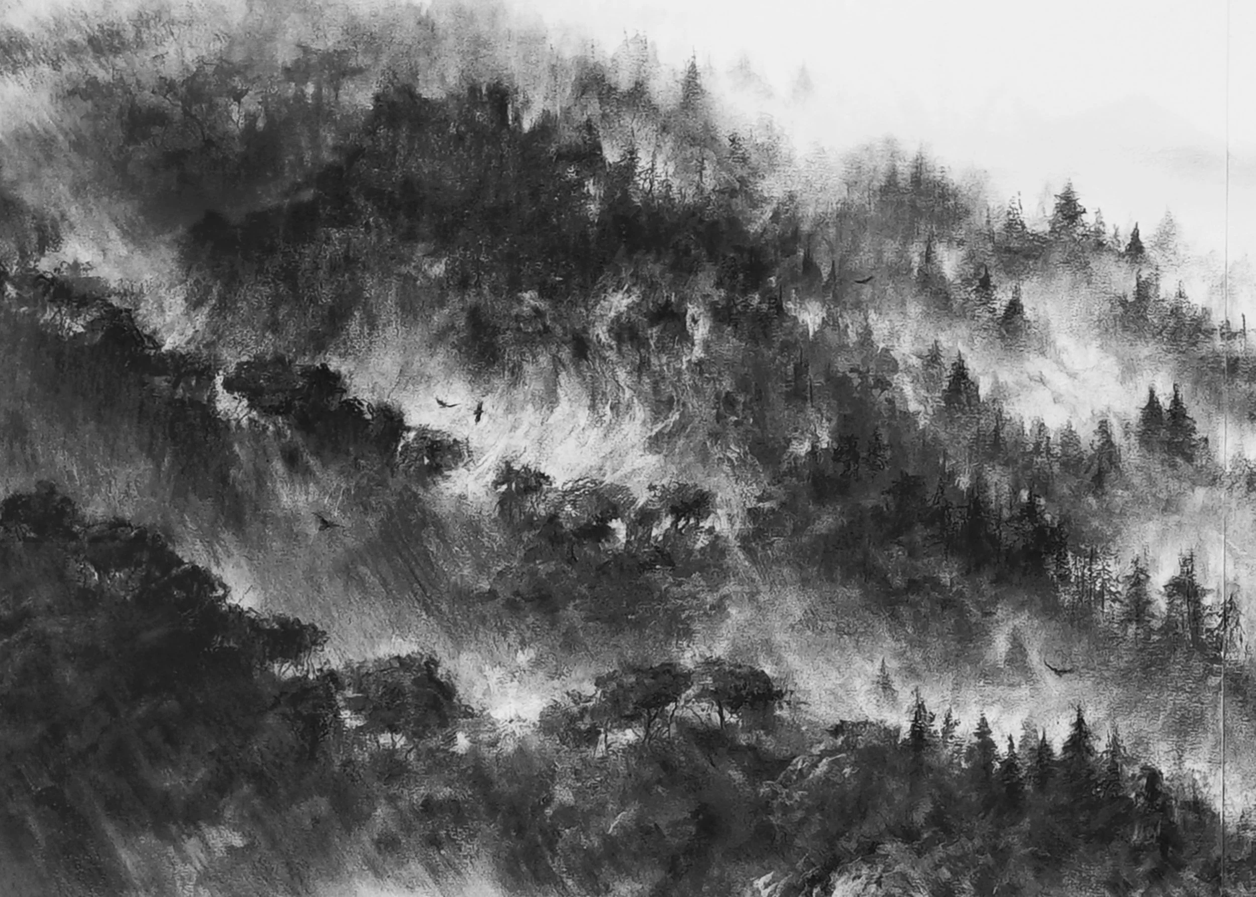 A forest detail.jpg
