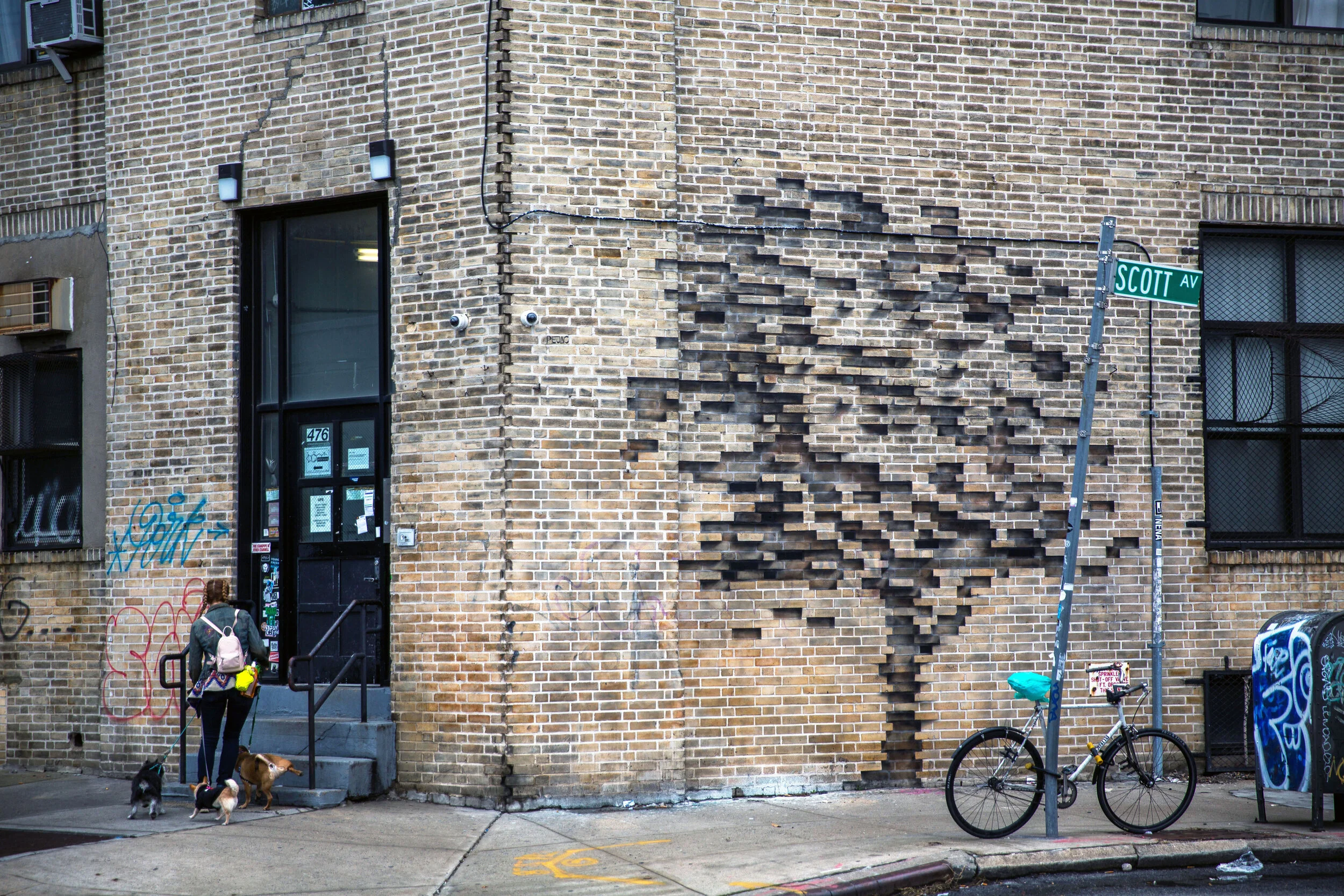 Fossil 3 (pic by Raphael Gonzales @zurbaran1).jpg