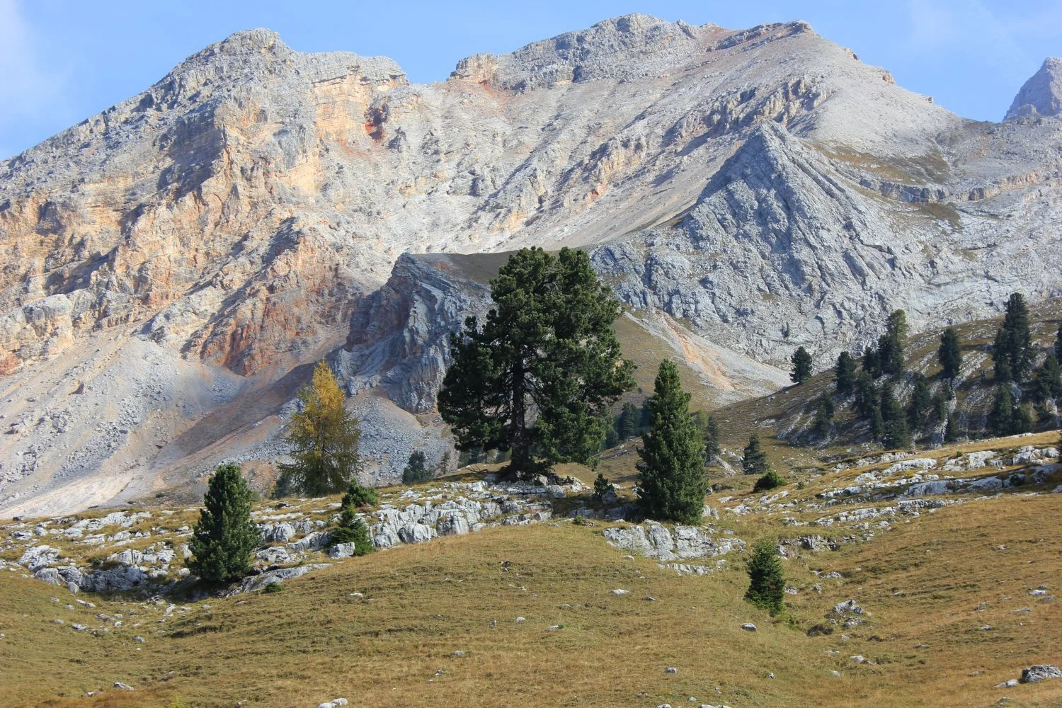 fratus_lerosa_4_redux.jpg