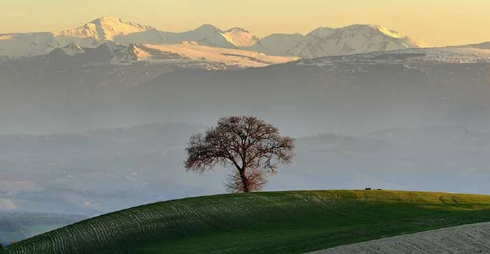 Gatta_alpes.jpg