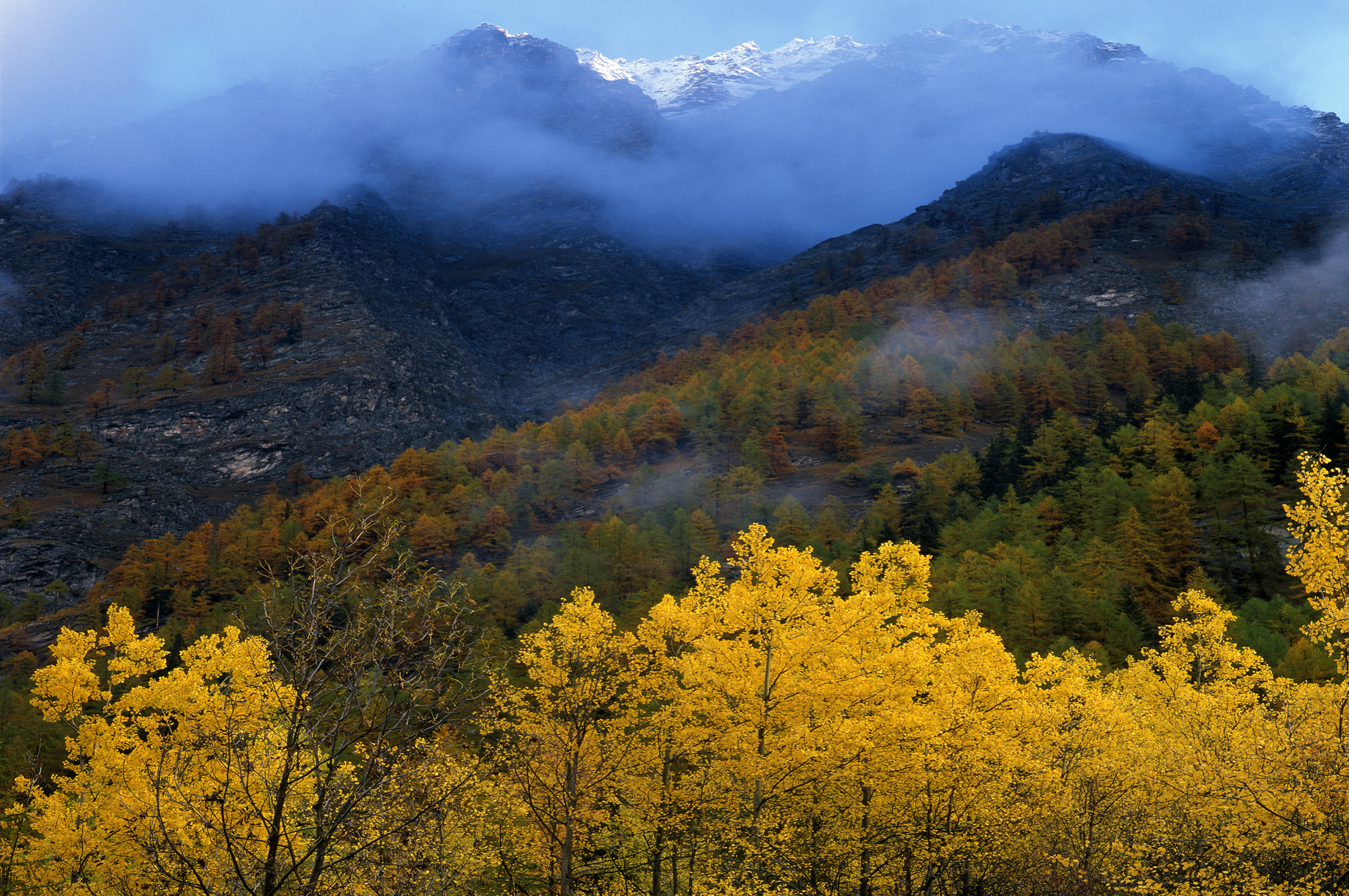 Val d'Aosta.jpg