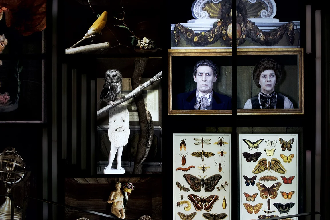 amoore_06_Wunderkammer.jpg