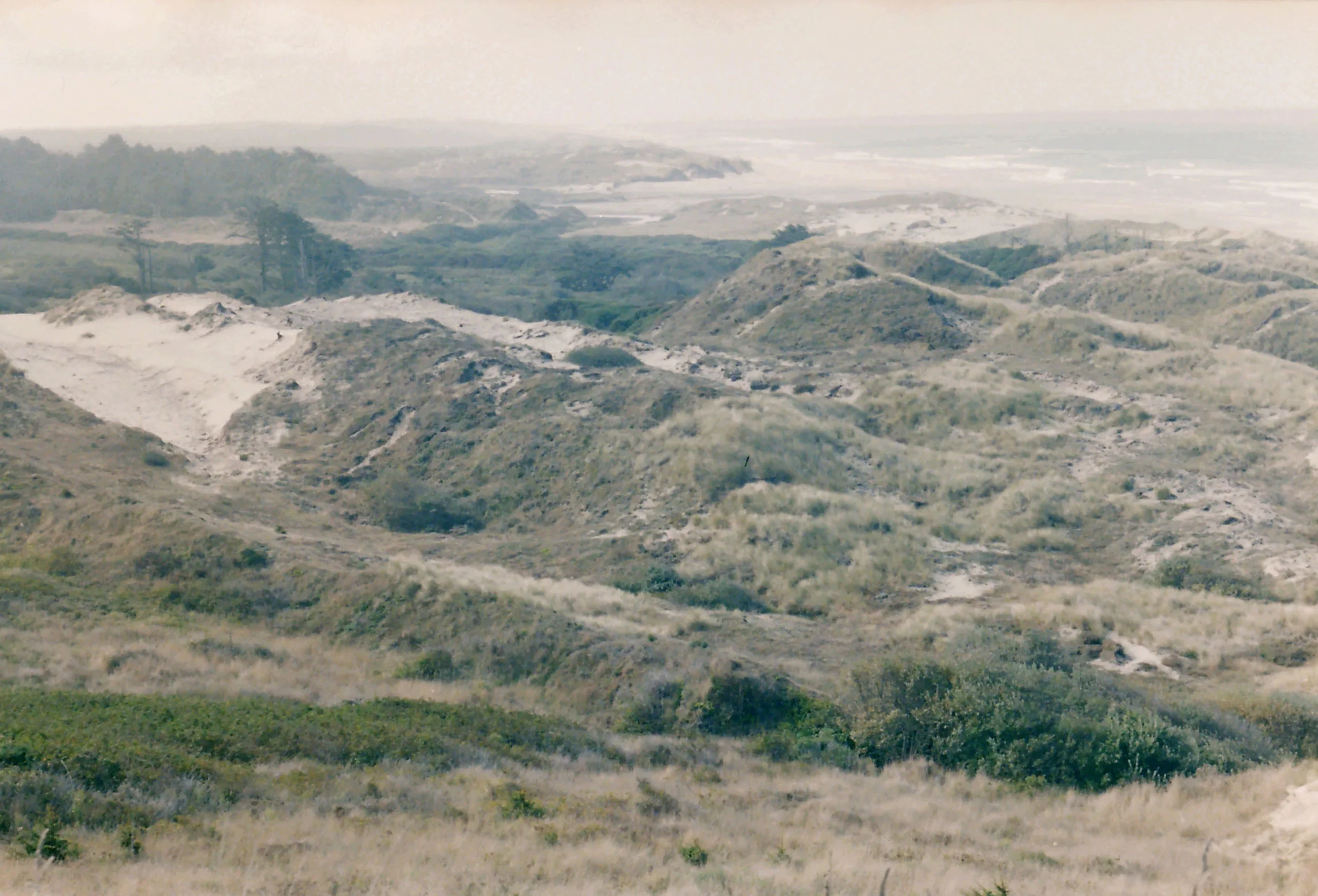 SteveColors_LandscapeHills.jpg