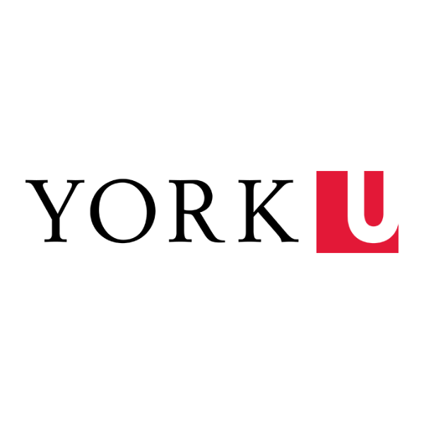 york university