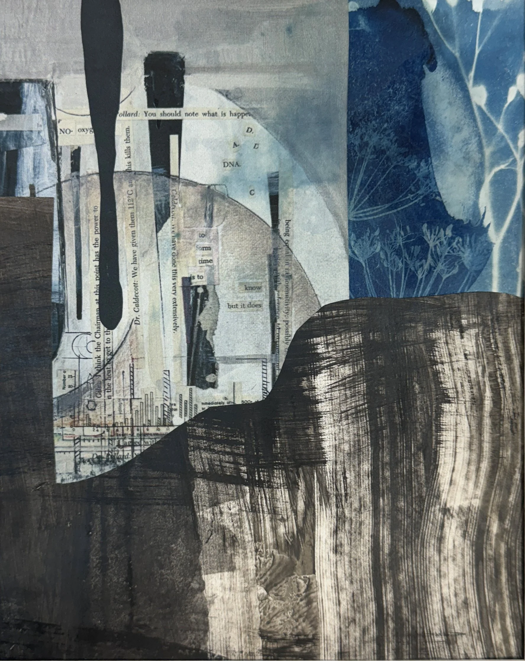 collahe_ink_cyanotype.jpg