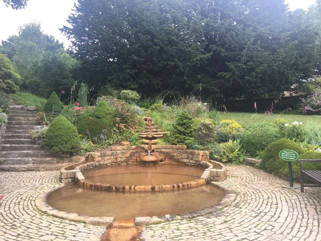 PHOTO-2023-01-30-17-18-47 2.jpg