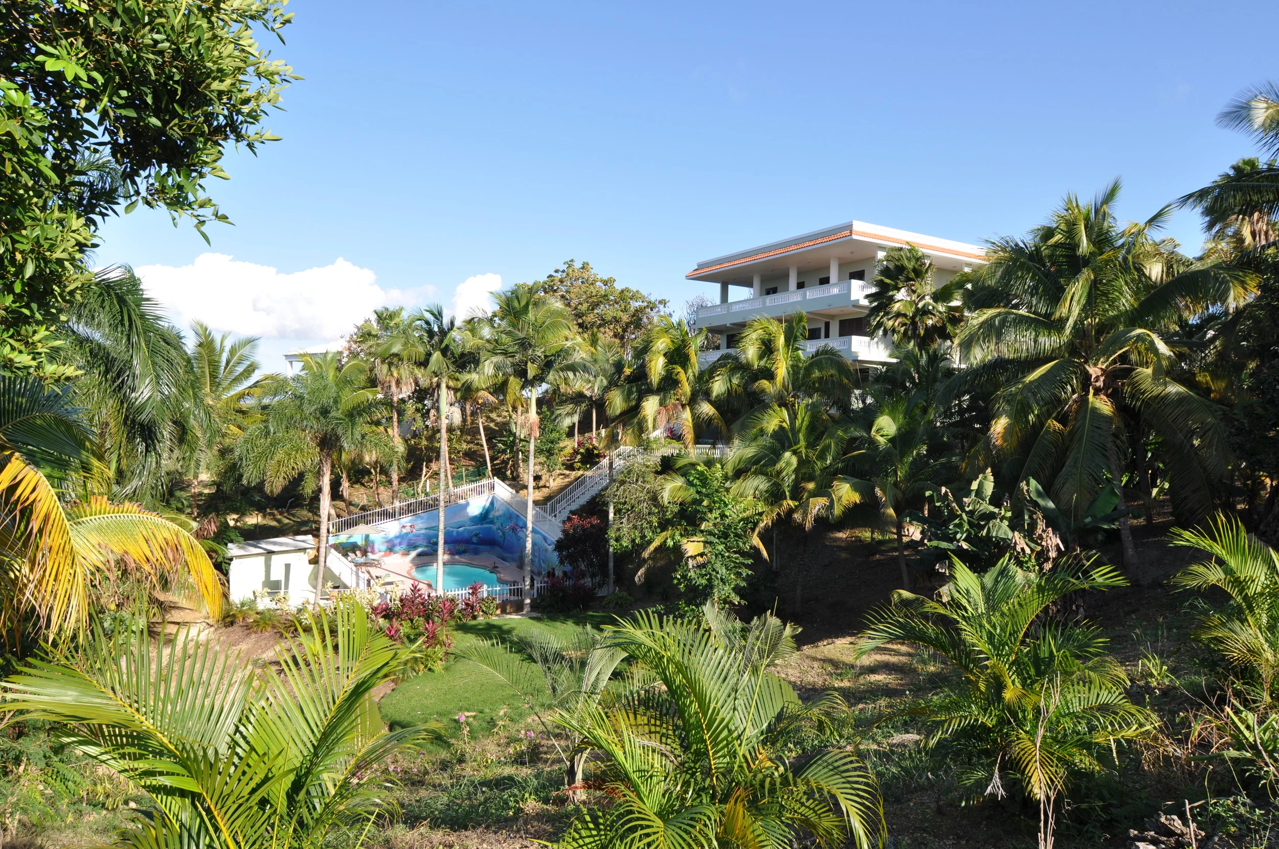 DSC_1415.JPG