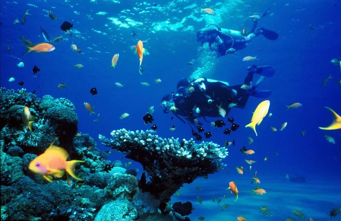 Scuba Diving
