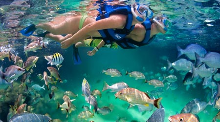 Snorkeling