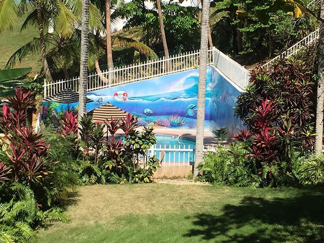 Pool side at oasis resorts! #surf #pool #poolside #oasis #oasisresort #tree #color #colorful #umbrella