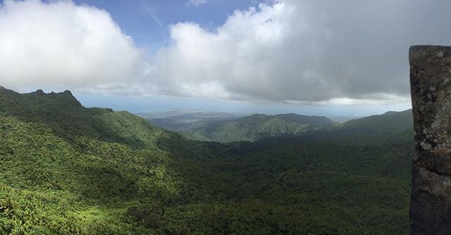 El Yunque has beautiful views and waterfalls as a great spot to travel at Oasis resorts! The hike is definitely worth it! #rainforest #waterfalls #love #vacation #vacationspot #rincon #oasis #oasisresort #puertorico #elyunque #hike #cute #tbt