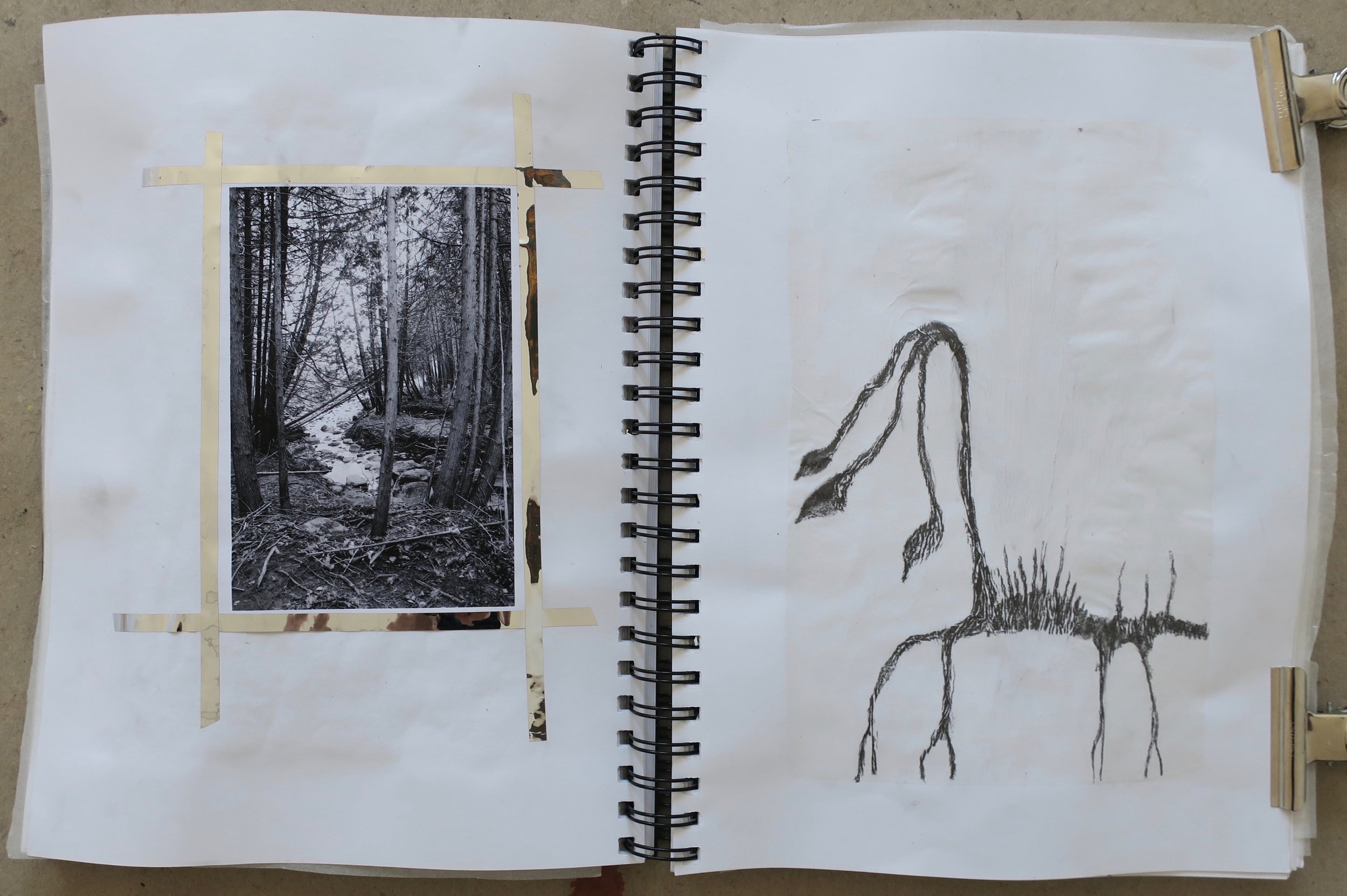 Hunter Street Sketchbook