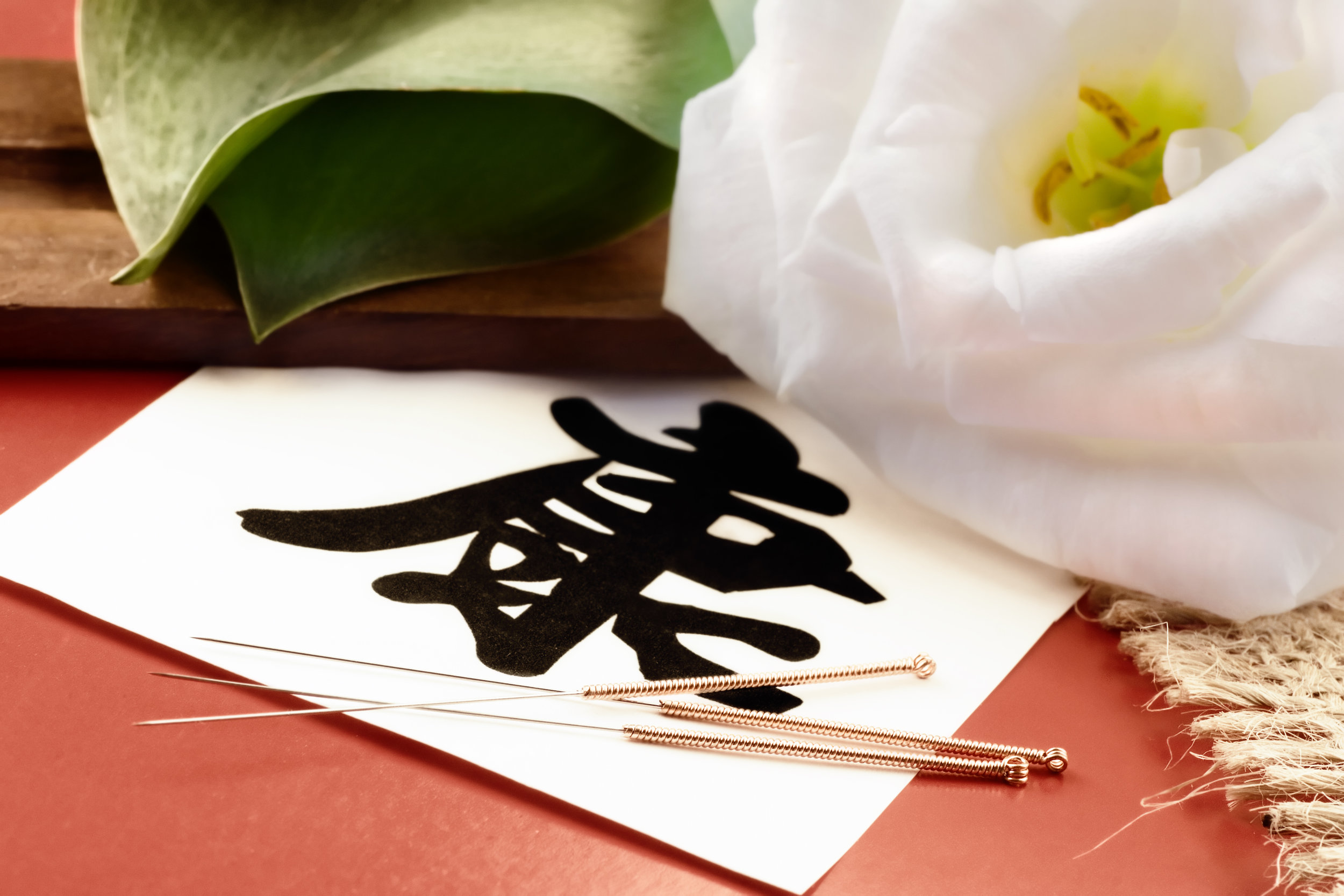 YU DAYI CHINESE MEDICINE - Updated June 2025 - 159 Photos