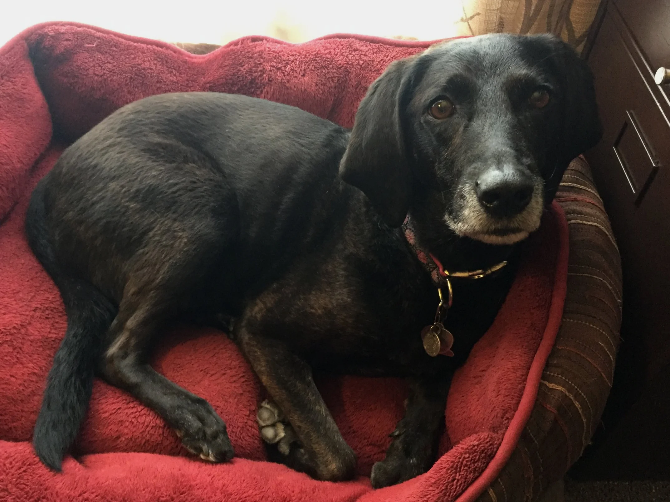 Sophie Revett September 5, 2008 - September 22, 2019