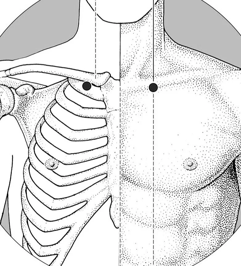 Healing from Home Points for Cold and Flu — Synergy Acupuncture & Wellness