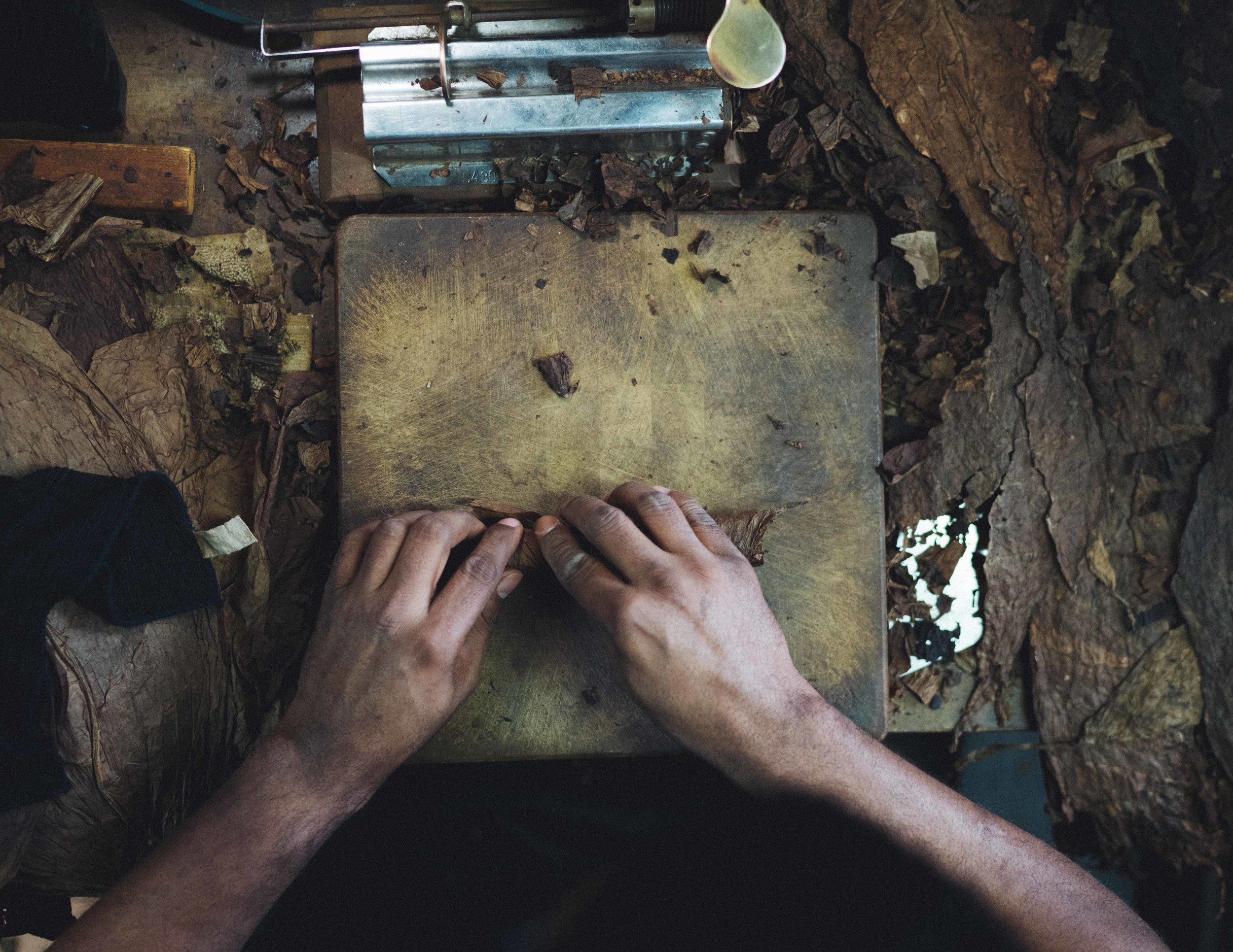 Cigar makers in Ybor City.