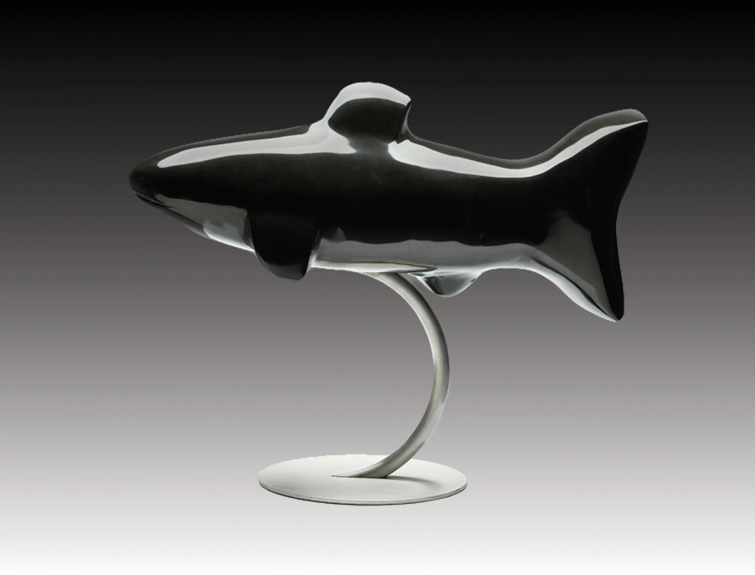 Shark