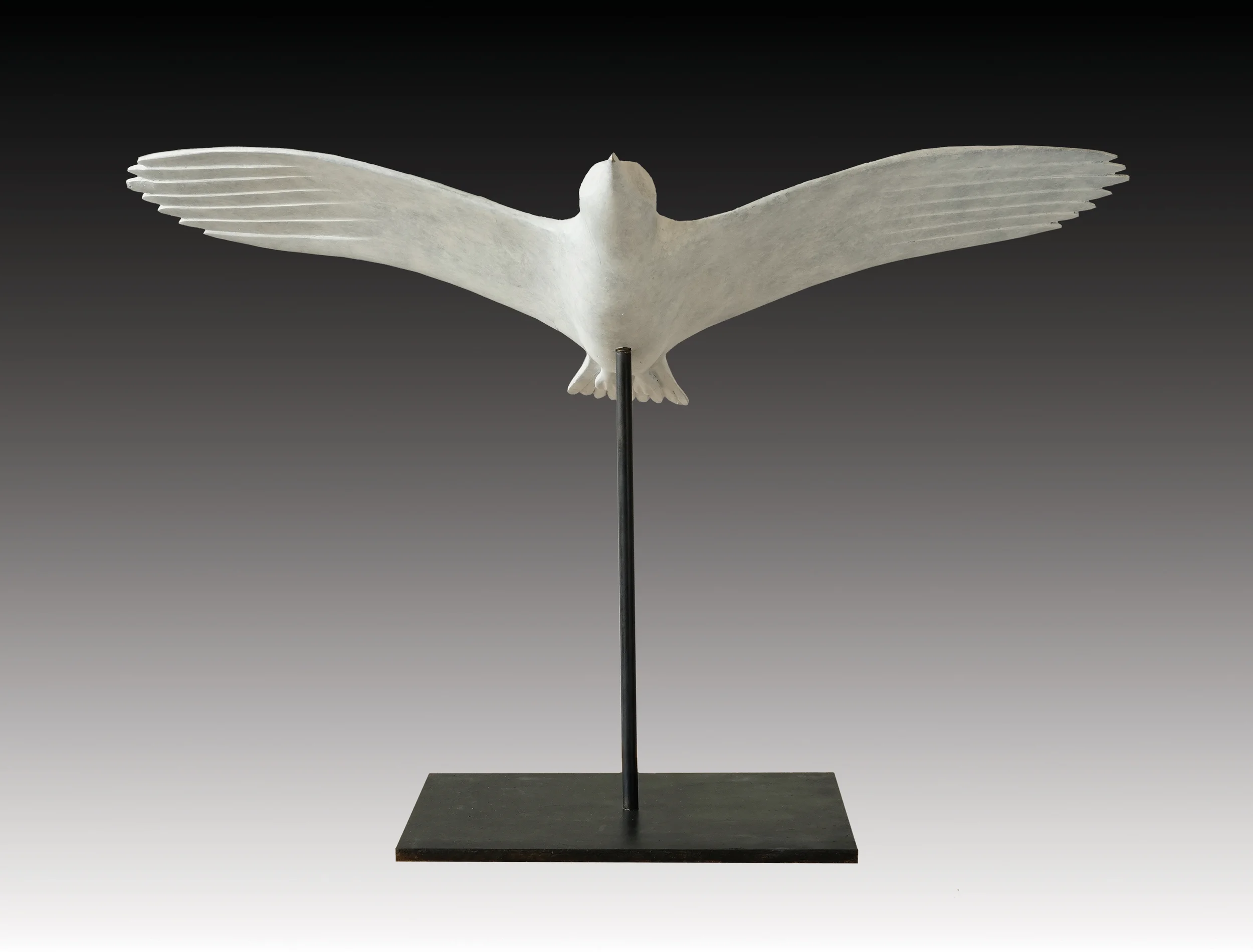Gull Climbing